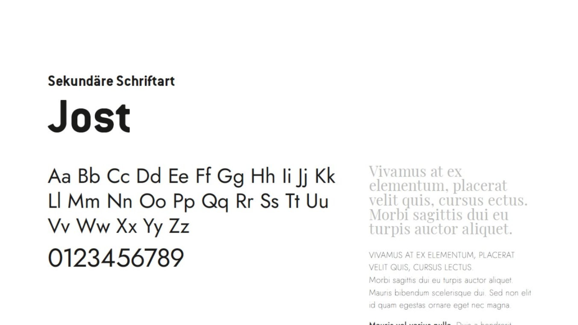 Innovatives Brand Design – made by Brandnamic Innovatives Brand Design – made by Brandnamic