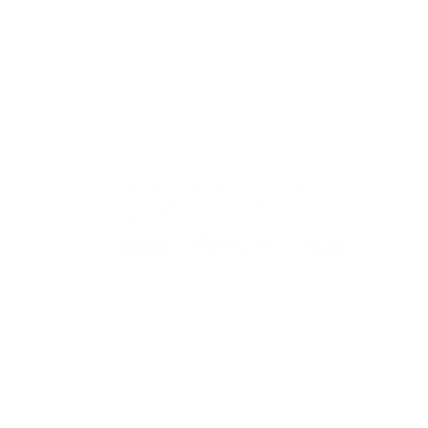 Full-Service-Marketingagentur Brandnamic Full-Service-Marketingagentur Brandnamic