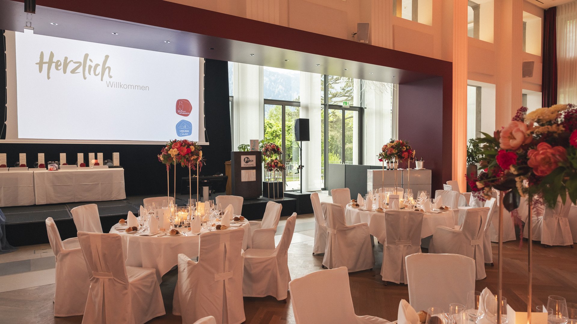 Wellness Aphrodite & Family Cup 2024 Wellness Aphrodite & Family Cup 2024